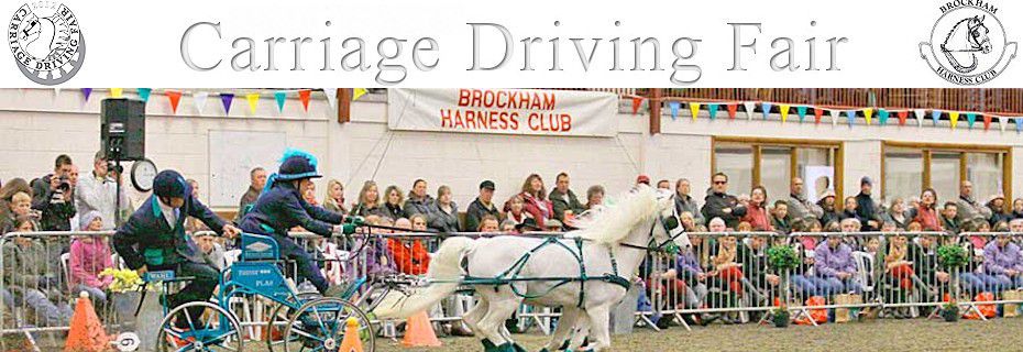 Working Equitation Demo at the 2014 Carriage Driving Fair