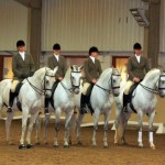 Lusitano Breed show 2011