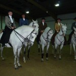 Lusitano Breed show 2011