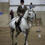 Lusitano Breed show 2011