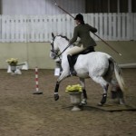 Lusitano Breed show 2011