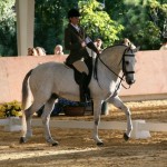 World Working Equitation Championships Lisbon 2006