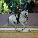 World Working Equitation Championships Lisbon 2006
