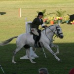 World Working Equitation Championships Lisbon 2006