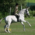 World Working Equitation Championships Lisbon 2006