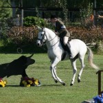 World Working Equitation Championships Lisbon 2006