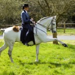 Working Equitation Demo at the Carriage Driving Fair 2012