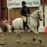 Working Equitation Demo at the Carriage Driving Fair 2012