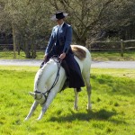 Working Equitation Demo at the Carriage Driving Fair 2012
