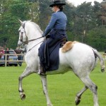 Woodbridge Horse Show 2012