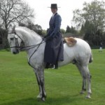 Woodbridge Horse Show 2012