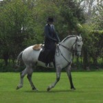 Woodbridge Horse Show 2012