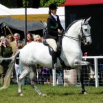 Royal Windsor 2012