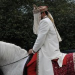 Lusitano at a Bollywood Wedding 1