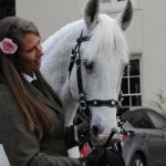 Lusitano at a Bollywood Wedding 4