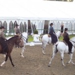 Working Equitation Demo at Hickstead