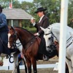 Working Equitation Demo at Hickstead