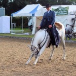 Working Equitation Demo at Hickstead