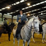 Annual Lusitano Breed Show 2012