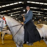 Annual Lusitano Breed Show 2012