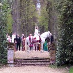 Lusitano at a Bollywood Wedding 5