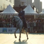 VISCONE IN THE BAOTOU SHOW