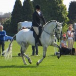 Woodbridge Horse Show 2013