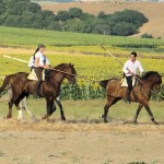 Cattle Training 2