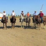 Cattle Training 7