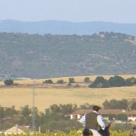 Cattle Training 9
