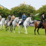 SuffolkShow2013_1