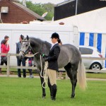 SuffolkShow2013_3