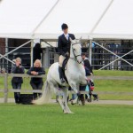 SuffolkShow2013_5