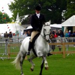 SuffolkShow2013_4