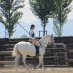 Working Equitation Championships 2013