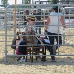 Working Equitation Championships 2013 4