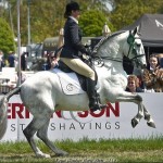 Royal Windsor 2017