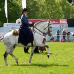 Royal Windsor 2017