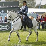 Royal Windsor 2017